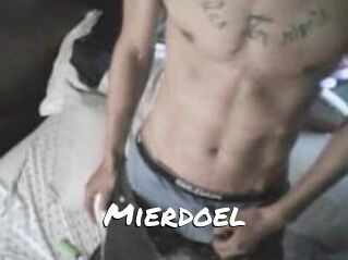 Mierdoel