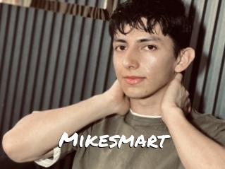 Mikesmart