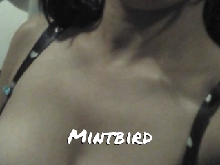 Mintbird