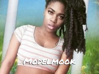 Modelmook