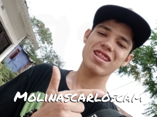 Molinascarloscam