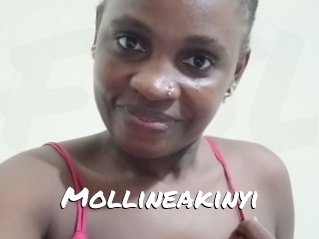 Mollineakinyi