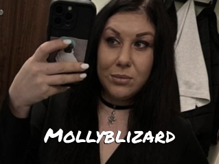 Mollyblizard