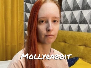 Mollyrabbit