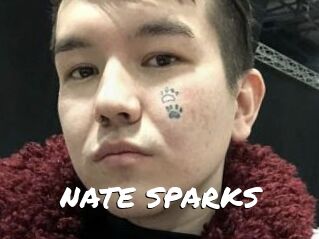 NATE_SPARKS