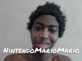 NintendoMarioMario