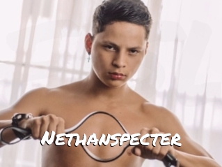 Nethanspecter