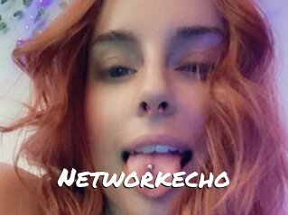 Networkecho