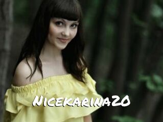 Nicekarina20