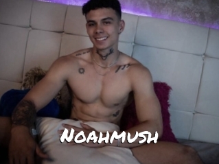 Noahmush