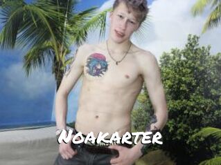 Noakarter