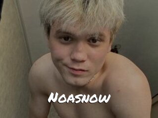 Noasnow