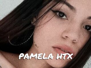 PAMELA_HTX