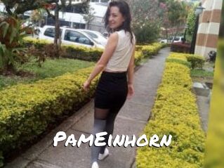 PamEinhorn