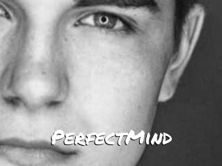 PerfectMind