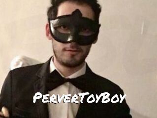 PerverToyBoy