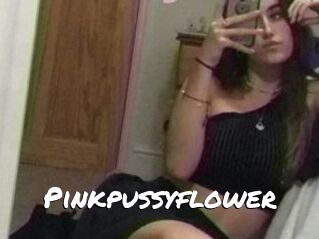 Pinkpussyflower