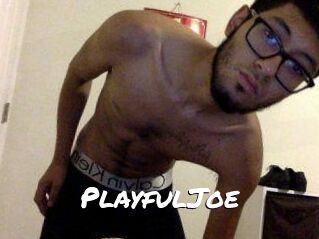 PlayfulJoe