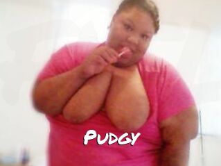 Pudgy