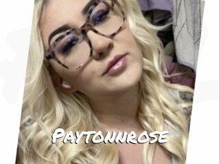 Paytonnrose