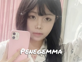 Penegemma