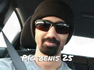 Pig_benis_25