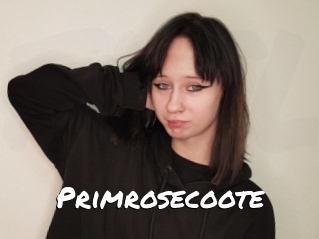 Primrosecoote