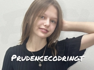 Prudencecodringt