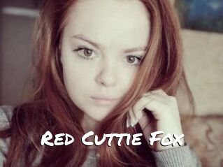 Red_Cuttie_Fox