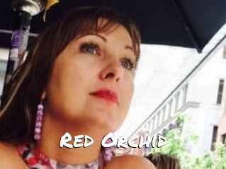 Red_Orchid