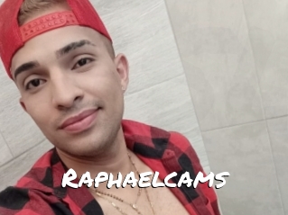 Raphaelcams