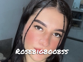 Rosebigboobss