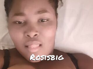 Rosisbig