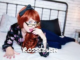 Rossebush