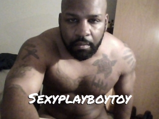 Sexyplayboytoy