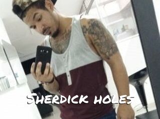 Sherdick_holes