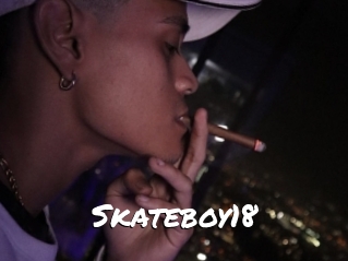 Skateboy18