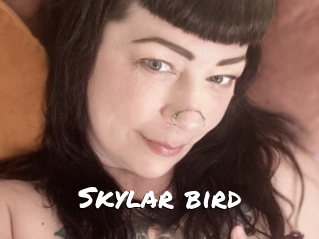 Skylar_bird