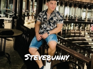 Stevebunny