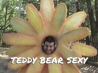 TEDDY_BEAR_SEXY