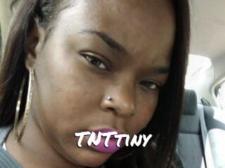T_N_Ttiny