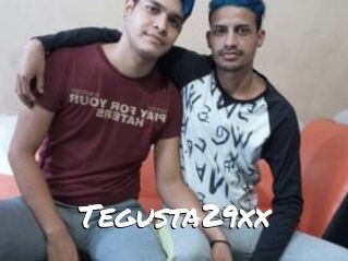 Tegusta29xx