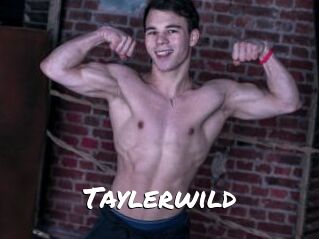 Taylerwild