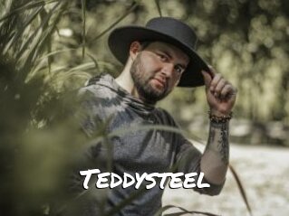 Teddysteel