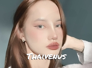 Thaivenus