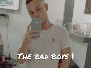 The_bad_boys_1