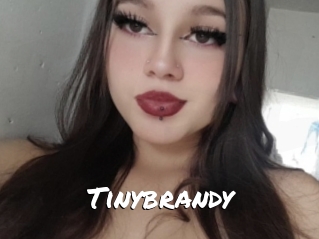 Tinybrandy