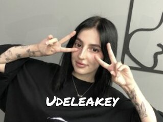 Udeleakey