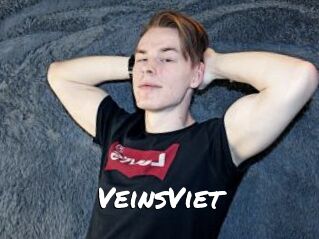 VeinsViet