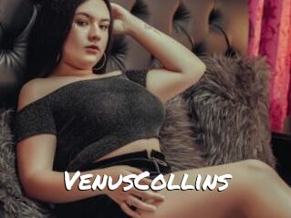 VenusCollins